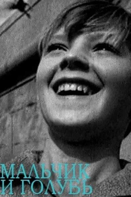 The Boy and the Pigeon